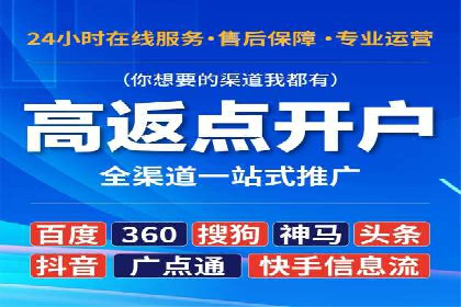 百度推广公司的成功案例：如何实现广告投资回报最大化